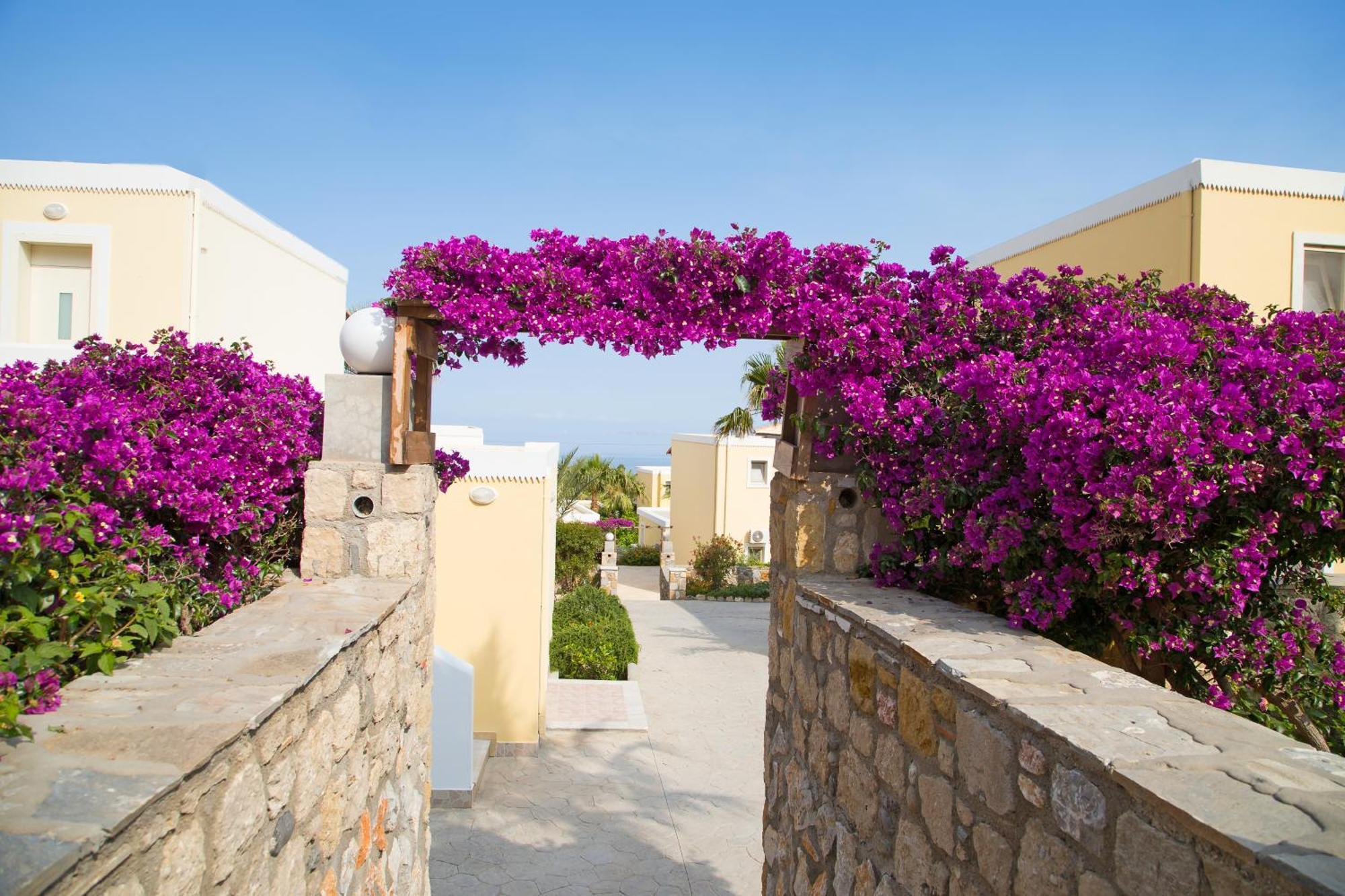 Kouros Palace Hotel 5*
